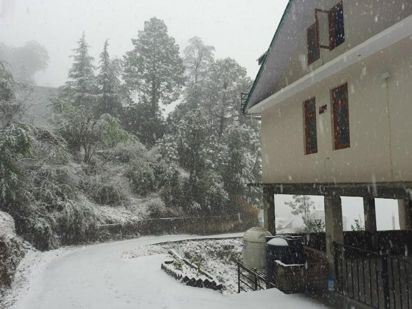 Aagaman Woods Apartamento Shimla Exterior foto